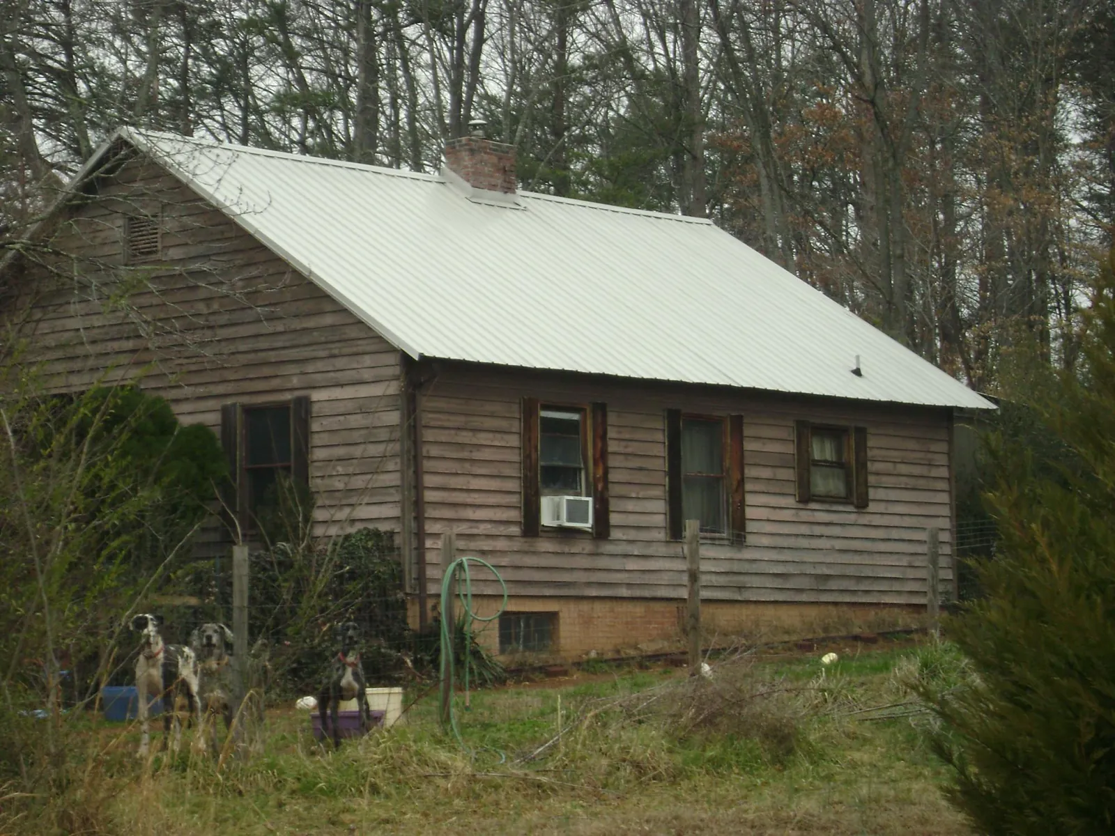 White metal roof on an old wood sided farmhouse, from a Asphalt Shingle Roof Repair job in Hunker